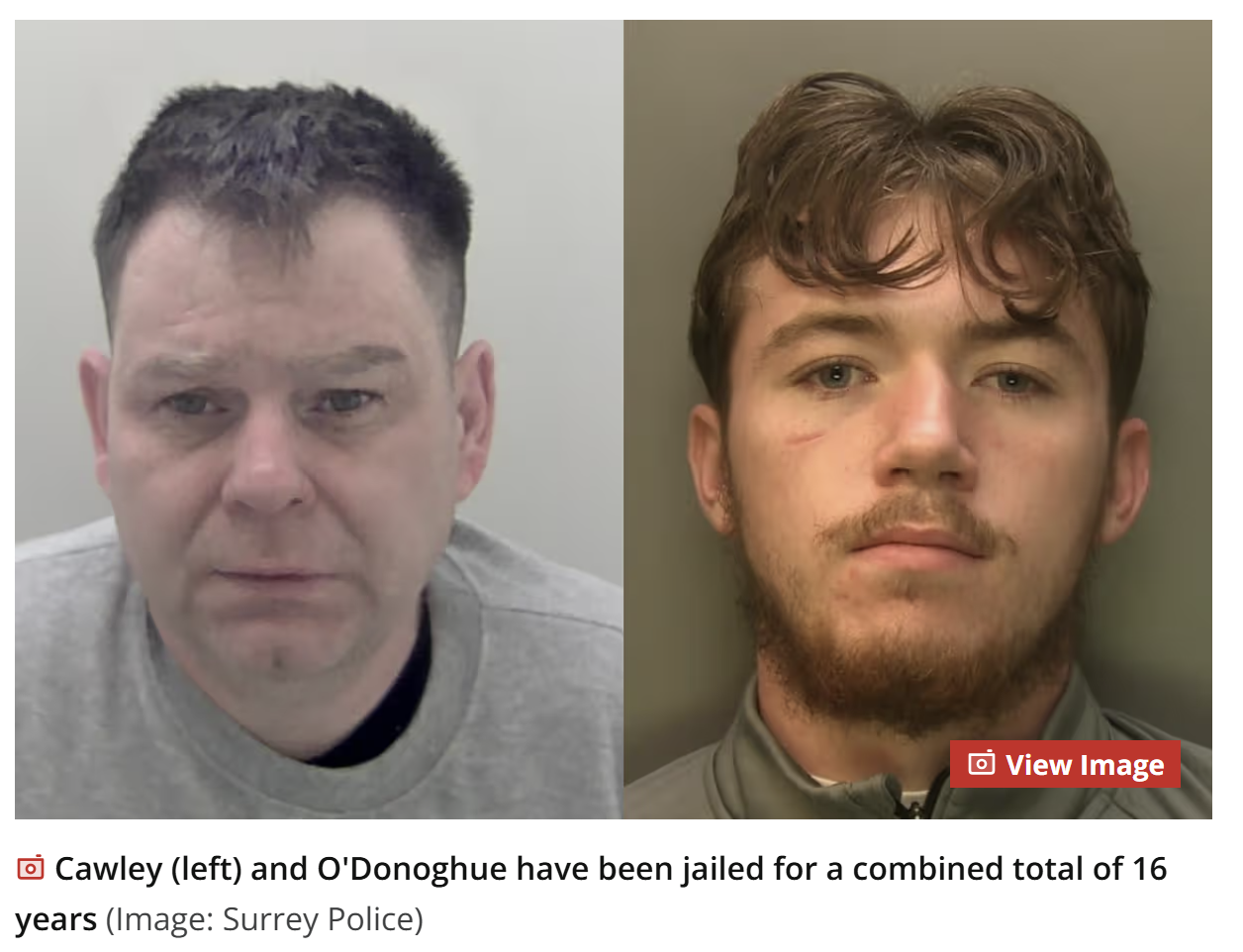 London uncle and nephew burgled war medals and cash from elderly and vulnerable in raids