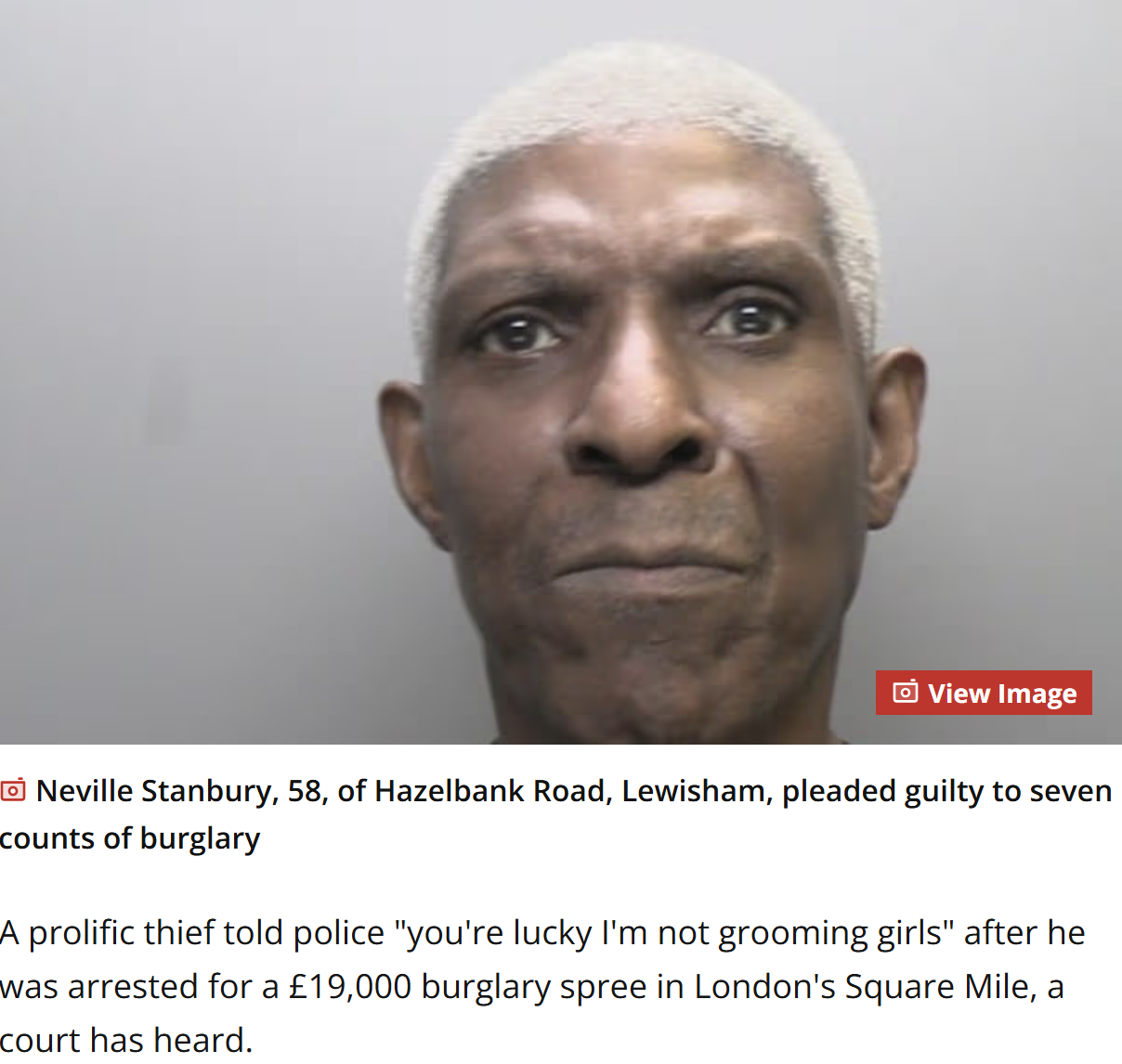 Thief tells police ‘you’re lucky I’m not grooming girls’ jailed after £19k burglary spree