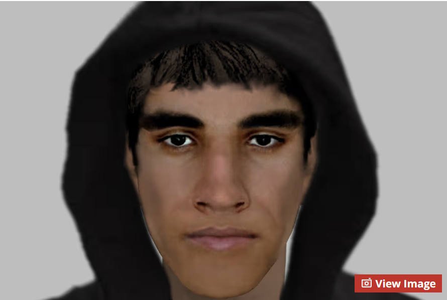 Police hunt after man 'tries to rape woman in West London park'