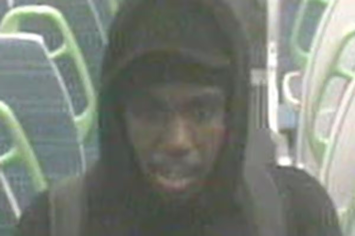 Police release image after man exposes himself to woman on train