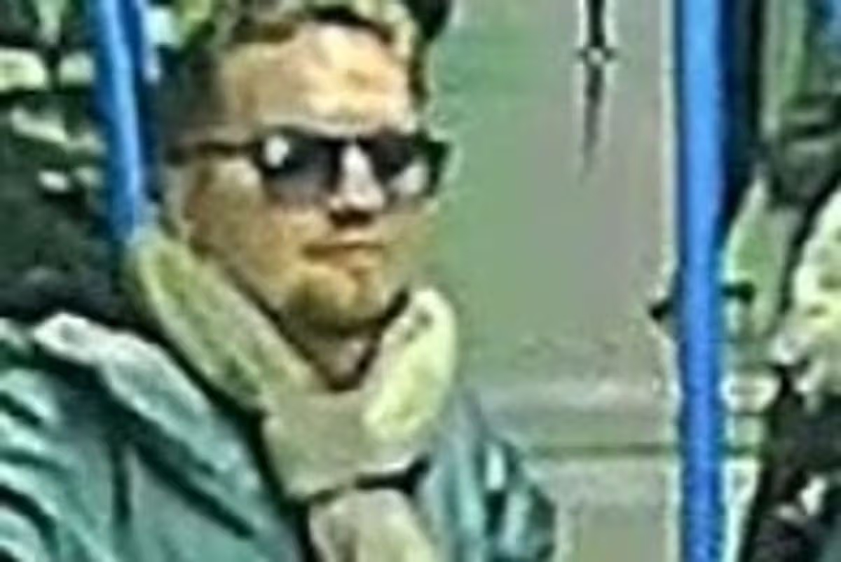 Police release image after woman 'sexually attacked' on London train
