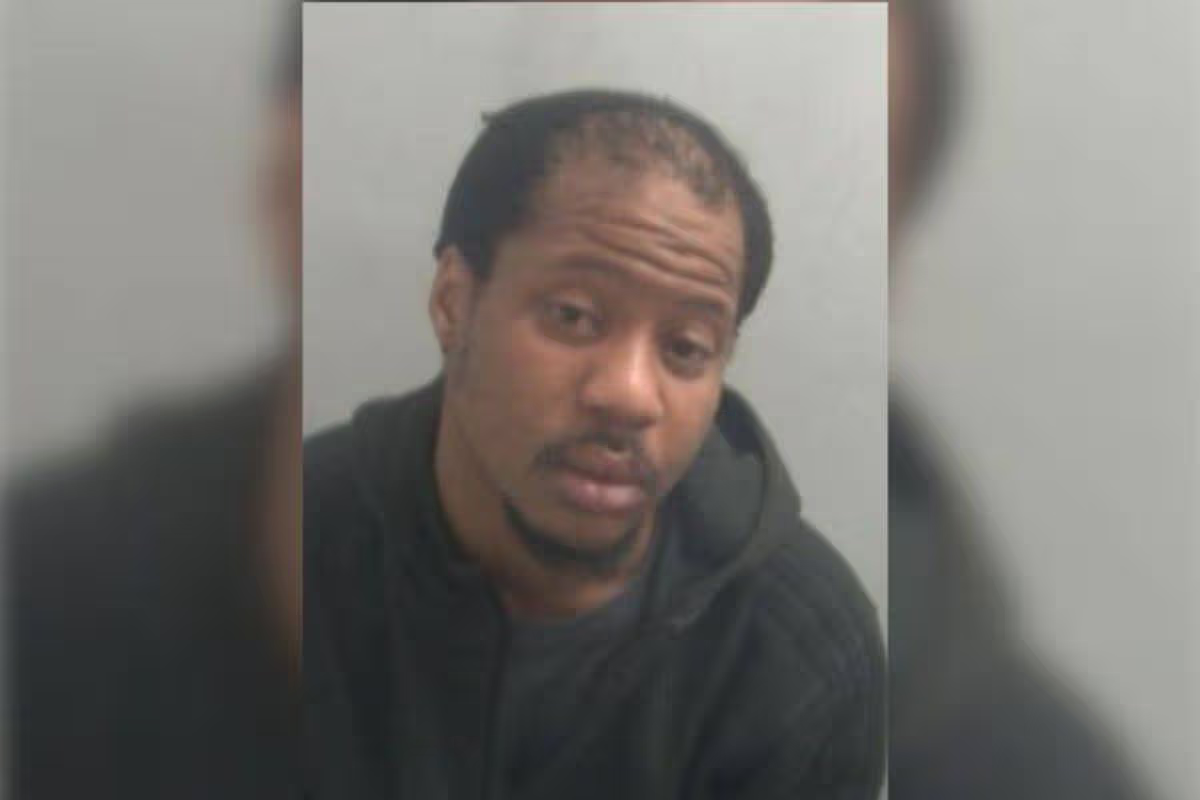 He thought he could get away with sex attacks on train - other passengers proved him wrong - My London