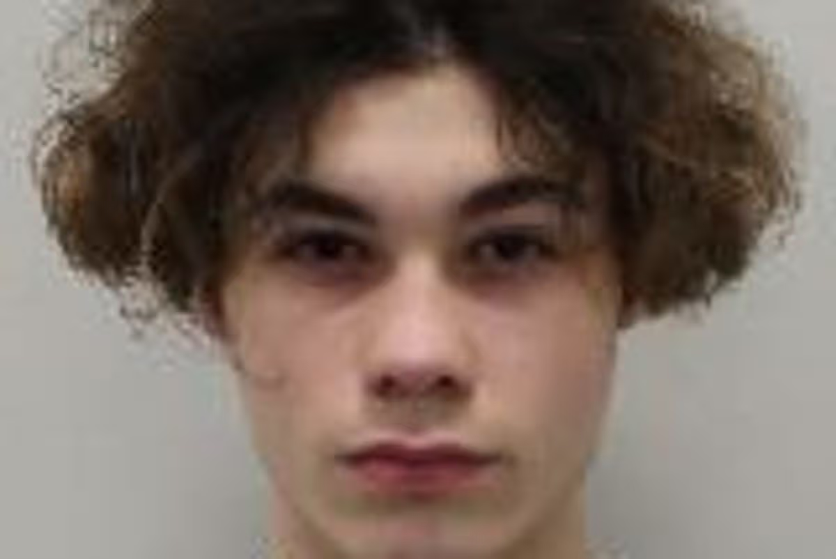 First picture of teen who stabbed Harry Pitman, 16, to death on Primrose Hill on New Year's Eve