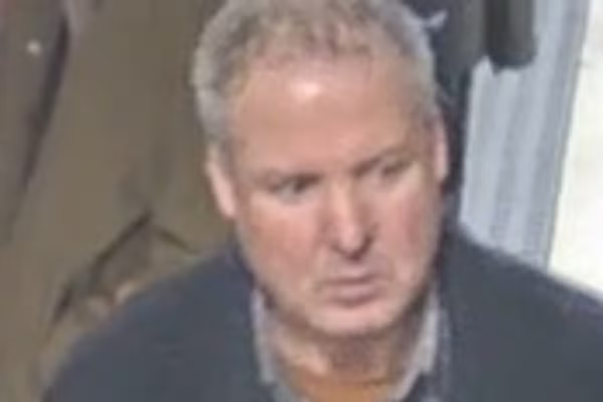 Woman sexually assaulted on Piccadilly line train