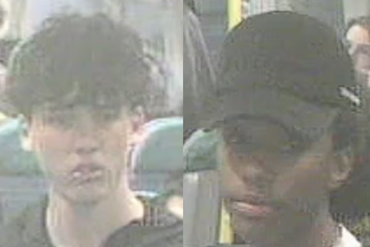 Man bottled over head while trying to protect South London train passengers