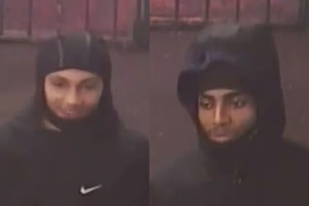 Police hunt 'phone snatchers' who robbed teenager at South London train station