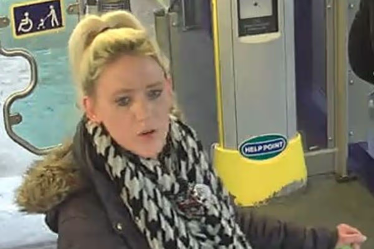 Suitcase of cash 'stolen' on board Thameslink train in broad daylight