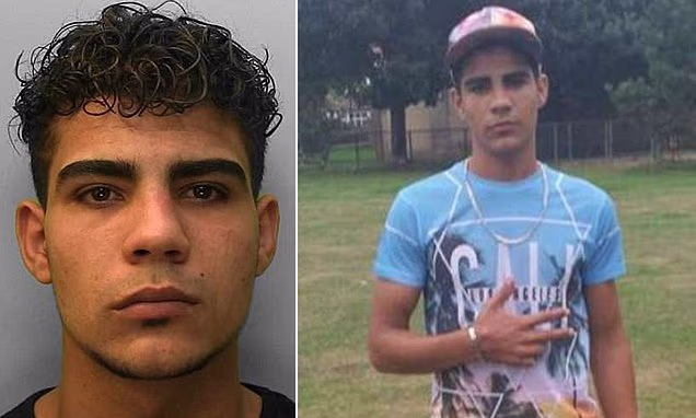 Failed asylum seeker who raped a 14-year-old schoolgirl he met online says he shouldn't be deported back to Egypt 'because he's bisexual' | Daily Mail Online