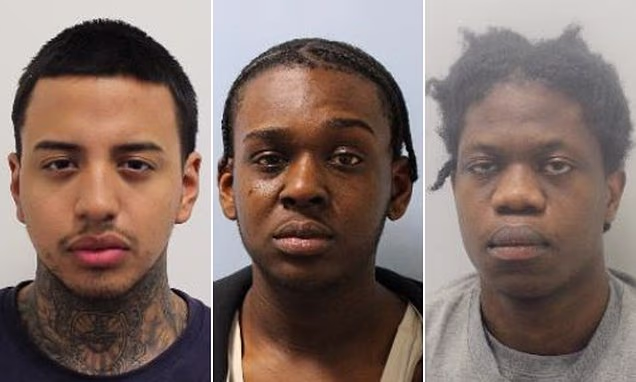 Three men who hacked a man to death with 'arsenal of knives', a crutch and a plank are jailed for life
