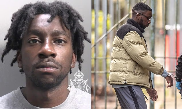 'I think you've had enough now': Teenage girl reveals disturbing words of Nigerian migrant who raped her in the woods before dodging deportation over 'human rights'