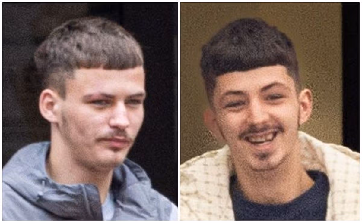 Notorious traveller twins spared jail go on to carry out terrifying gang raid on house with children inside