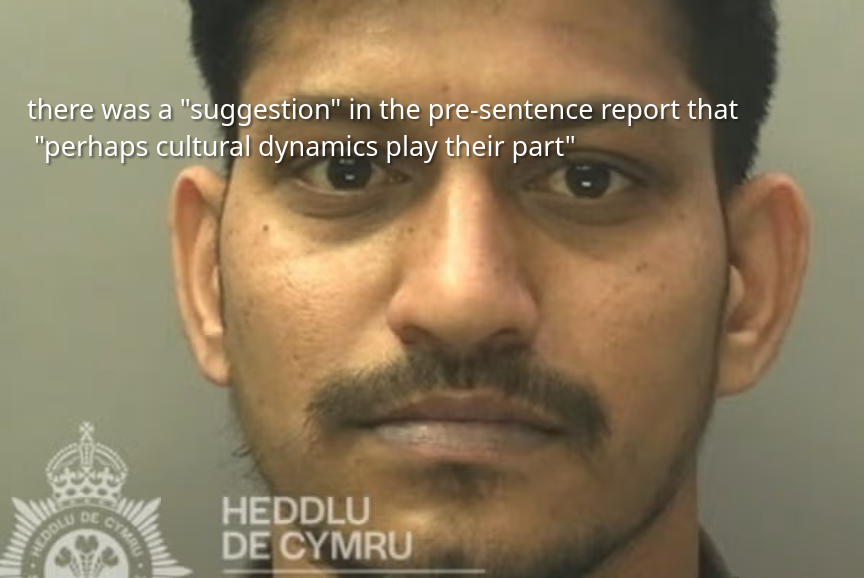 Woman escapes city sex attacker, Mohangopi Tadiboyina, as night out in Swansea turns to horror